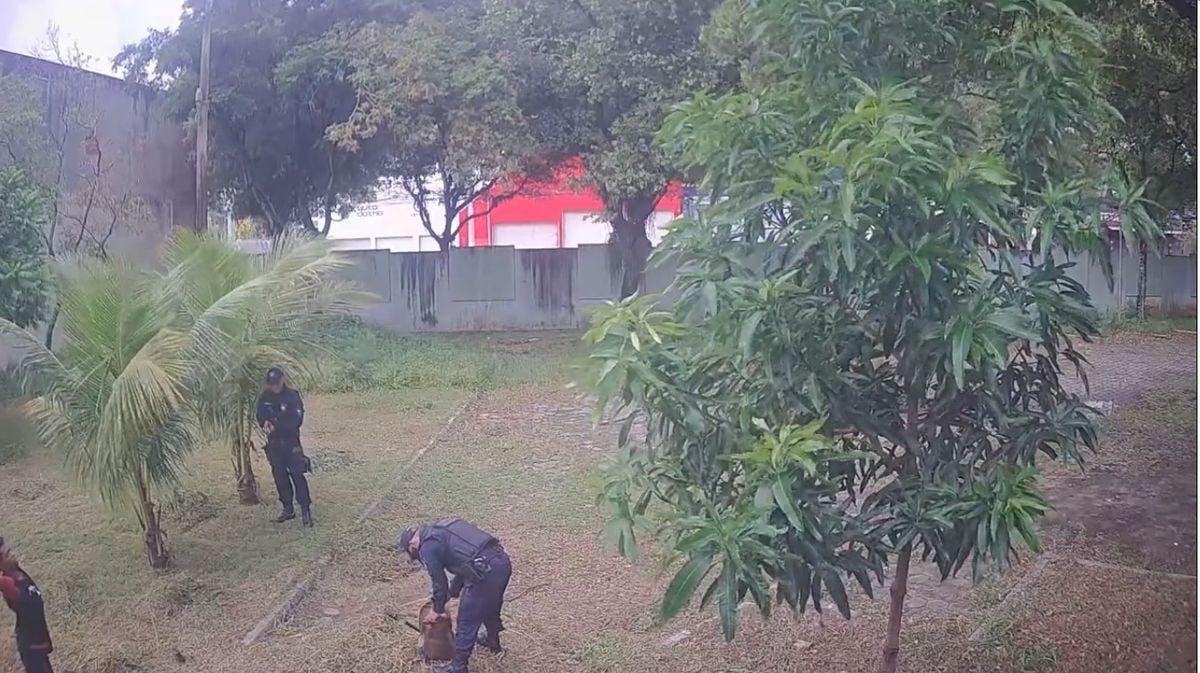 Momento exato da detenção do suspeito, em Bento Ferreira