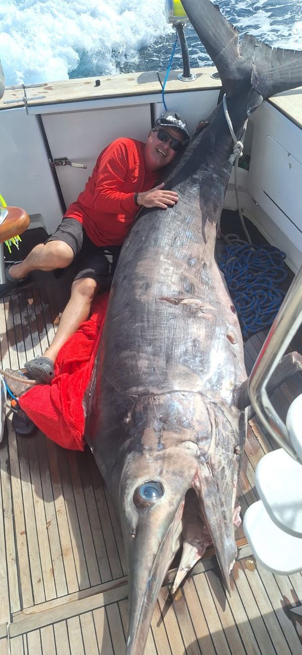 Pesca de peixe gigante foi motivo de comemoração em Guarapari por Leitor | A Gazeta