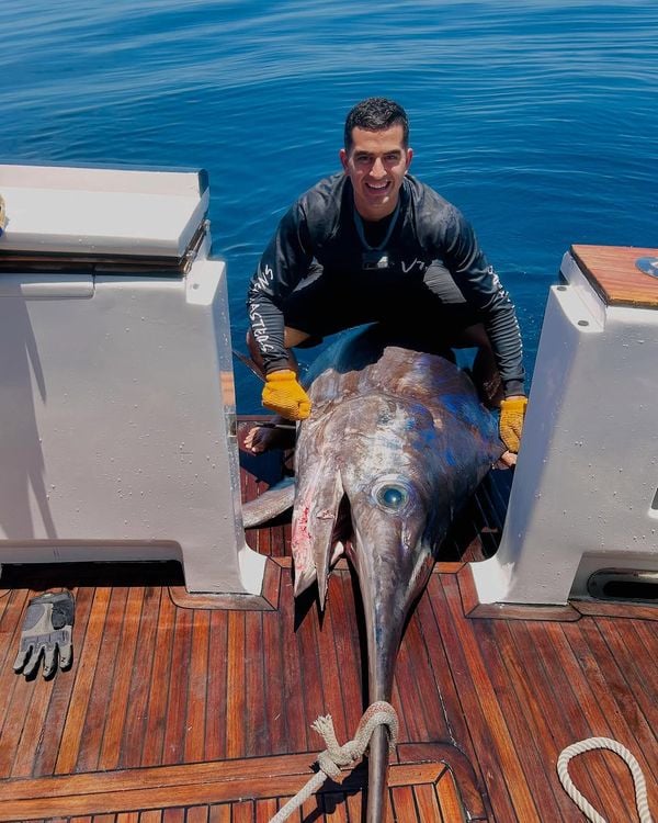 Pesca de peixe gigante gerou comemoração e muitas fotos por Instagram | @vitoriateam
