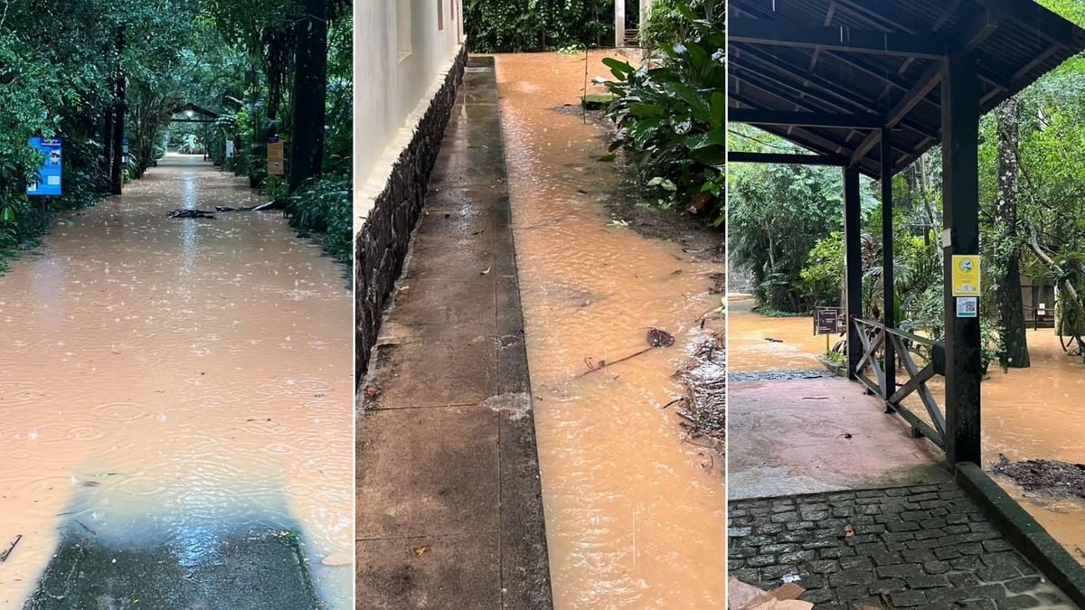 Museu de Biologia Professor Mello Leitão, em Santa Teresa, é atingido pelas fortes chuvas 