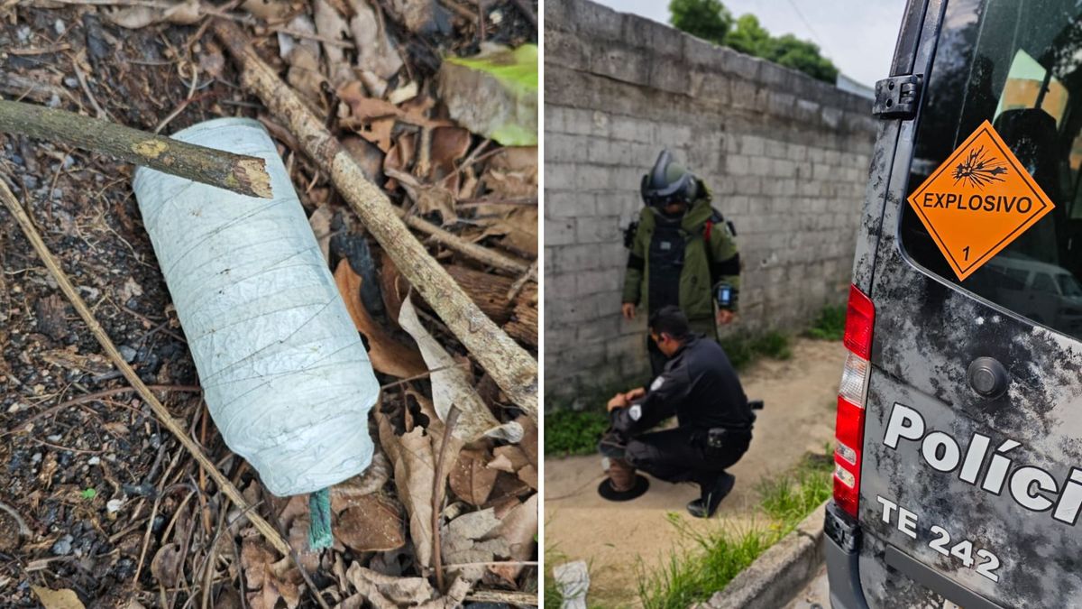 Esquadrão antibombas detona artefato suspeito em mata no Norte do ES