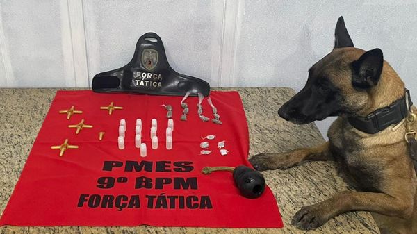 Cadela Kiara atua no 9º Batalhão  por Adriano Rovetta