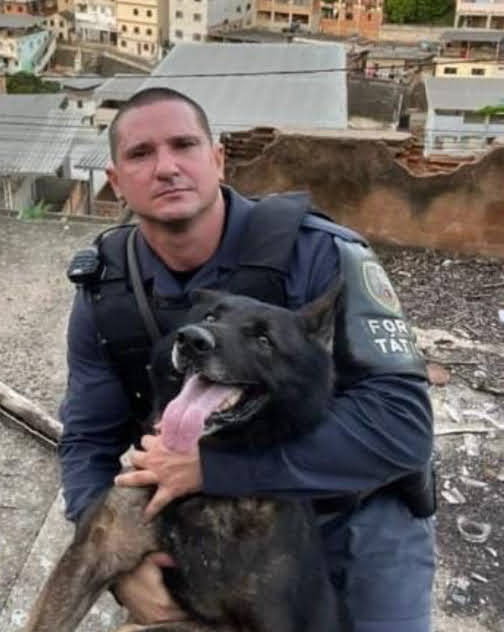 Pastor alemão Messi atua na Polícia Militar desde 2016 por Adriano Rovetta