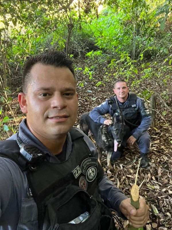 Pastor alemão Messi atua na Polícia Militar desde 2016 por Adriano Rovetta