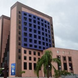 Benefício para os deputados foi aprovado em abril de 2023, por meio de "emenda jabuti", inserida em projeto que tratava sobre a criação de comissão de Proteção e Bem-Estar aos Animais