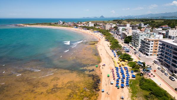 Animais foram avistados por banhistas na praia de Castelhanos; em apenas três dias, dez pinguins já apareceram no litoral capixaba