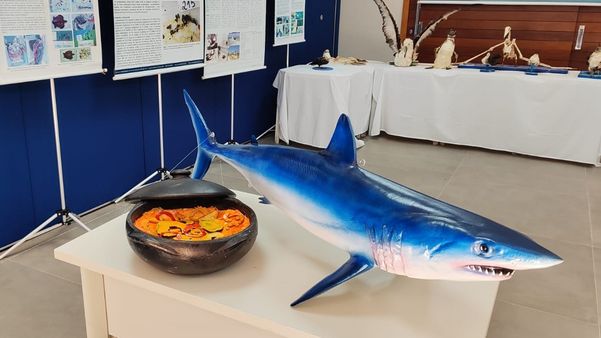 Tubarão e moqueca representam ciclo dos microplásticos
