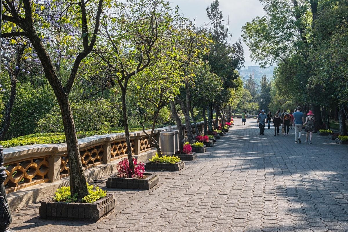 Bosque de Chapultepec, no México