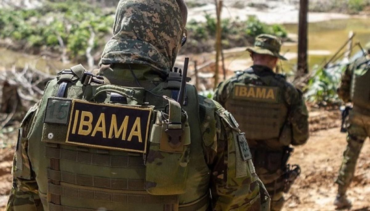 Agente do Ibama, fiscalização, meio ambiente