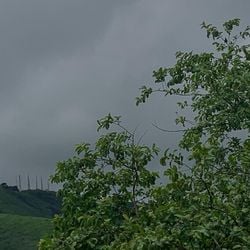 O cenário é favorável à ocorrência de chuvas intensas, raios, trovoadas e rajadas de vento