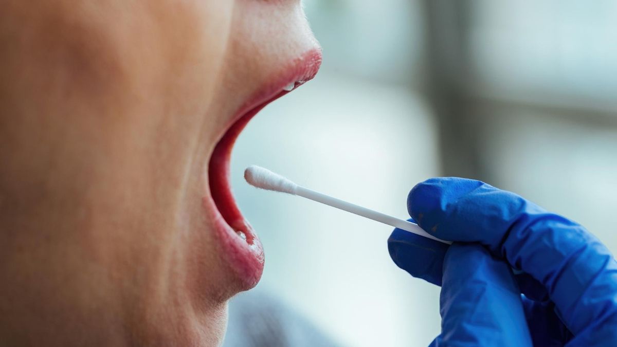 Saliva para testes é coletada com cotonete