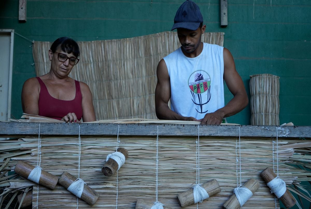 Artesanato com Taboa por Ricardo Medeiros