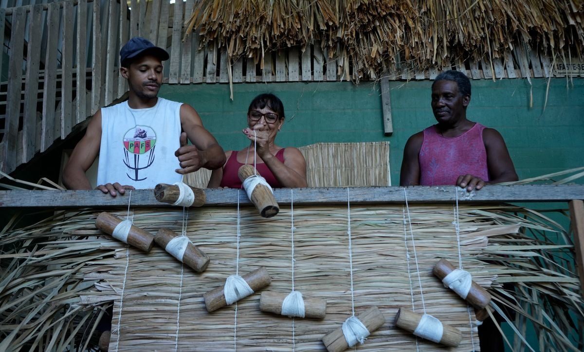 Artesanato com Taboa por Ricardo Medeiros