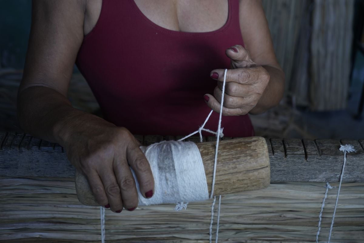 Artesanato com Taboa por Ricardo Medeiros