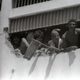 Presos durante rebelião na Casa de Detenção em 1990