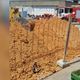 Imagem - Empresa é punida pela Cesan por morte de bombeiro civil em obra no ES