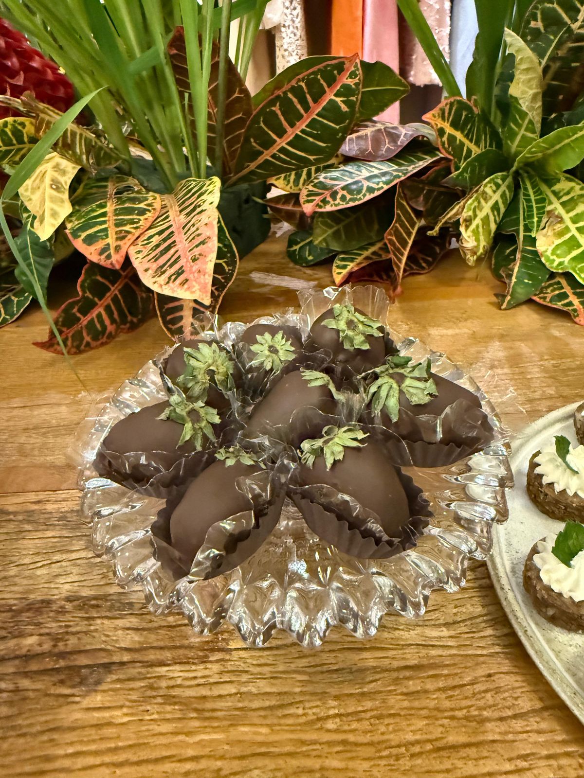 Aniversário de Laura Daher