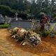 Imagem - Colapso funerário: cidade do ES não tem mais vagas em cemitério
