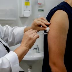 Em nota, o órgão afirma que o projeto não cumpriu os requisitos mínimos exigidos; país avança com imunizante do Butantan, já aprovado pela Anvisa