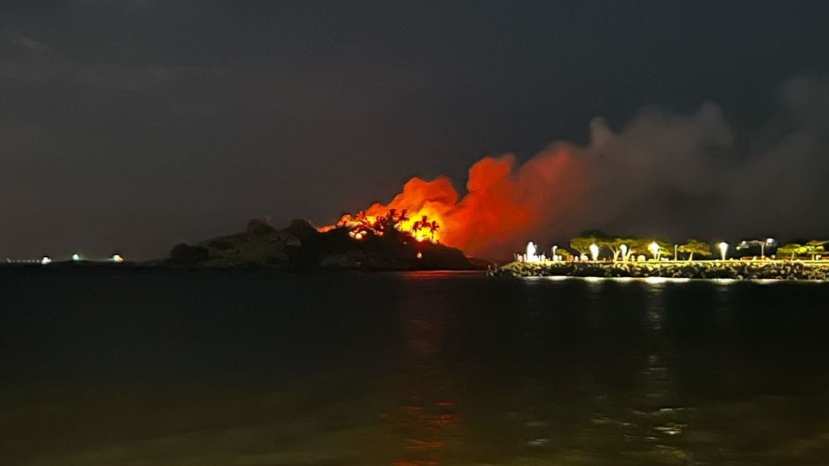 Incêndio atinge ilha na Praia de Camburi, em Vitória