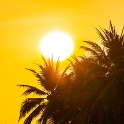 Meteorologista explica quais são os índices considerados "normais" e fala sobre os impactos no dia a dia da população