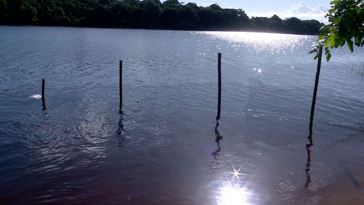 Banhistas são atacados por piranhas em lagoa de Linhares