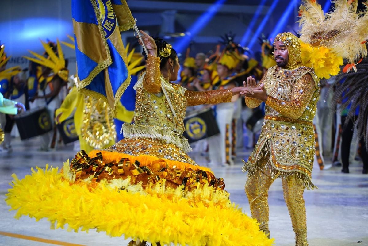 Campeã do Grupo B em 2024, Rosas de Ouro abriu os desfiles do Grupo de Acesso nesta sexta no Sambão por Fernando Madeira