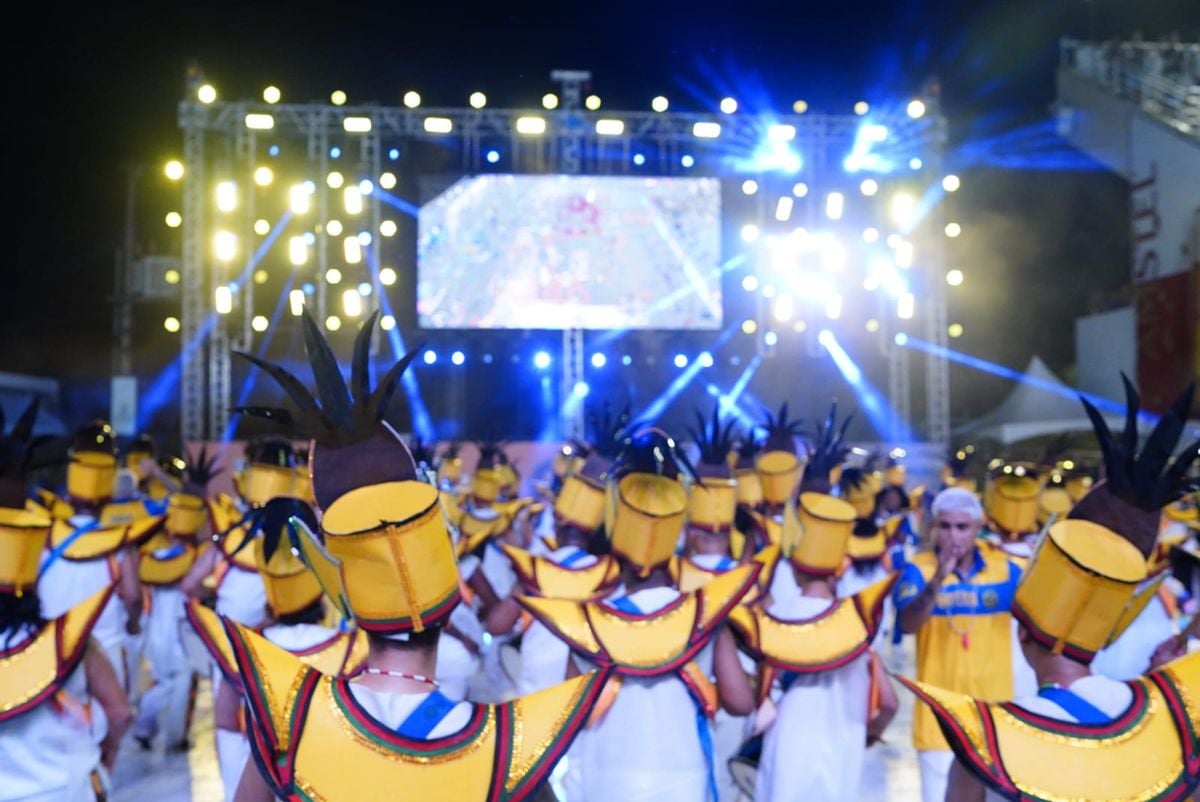 Campeã do Grupo B em 2024, Rosas de Ouro abriu os desfiles do Grupo de Acesso nesta sexta no Sambão por Fernando Madeira