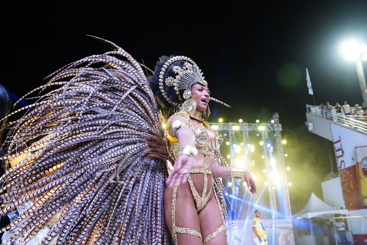 Campeã do Grupo B em 2024, Rosas de Ouro abriu os desfiles do Grupo de Acesso nesta sexta no Sambão por Fernando Madeira