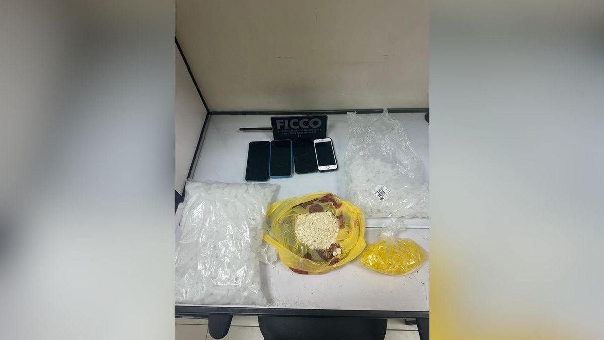 Operação Kelpie deflagrada nesta quinta-feira (27) por Divulgação PF