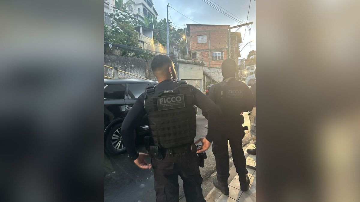 Operação Kelpie deflagrada nesta quinta-feira (27) por Divulgação PF