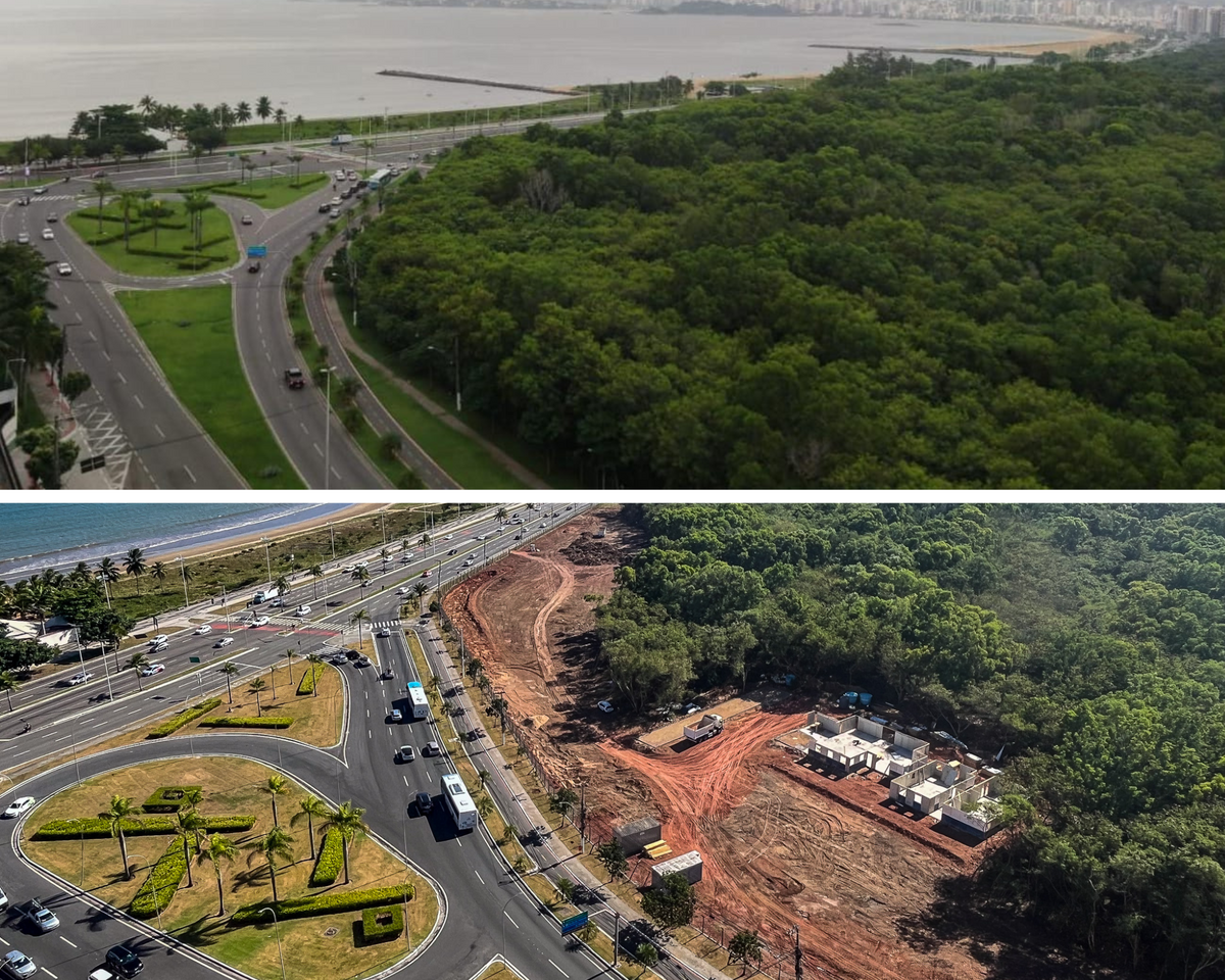 Retirada de mata para construção do Mergulhão de Camburi, em Jardim Camburi