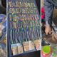 Imagem - Operação da PM em Aracruz apreende 4 quilos de maconha e detém dois jovens