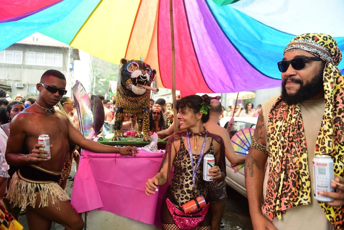 Bloco Amigos da Onça, no Centro de Vitória