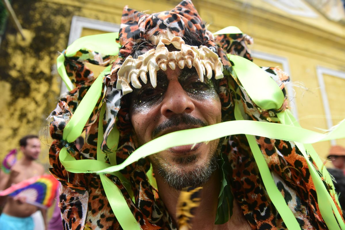 Bloco Amigos da Onça, no Centro de Vitória por Ricardo Medeiros