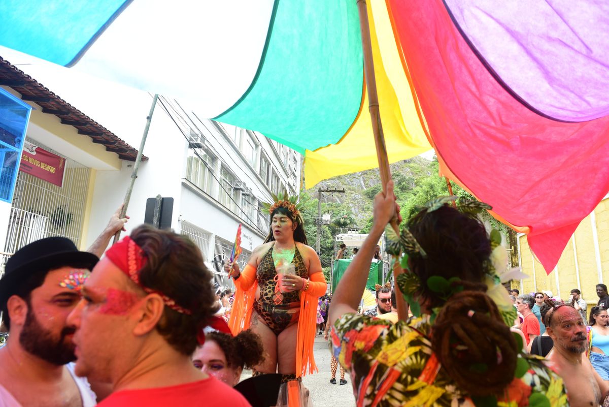 Bloco Amigos da Onça, no Centro de Vitória por Ricardo Medeiros