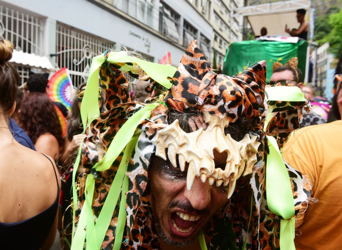 Bloco Amigos da Onça, no Centro de Vitória por Ricardo Medeiros