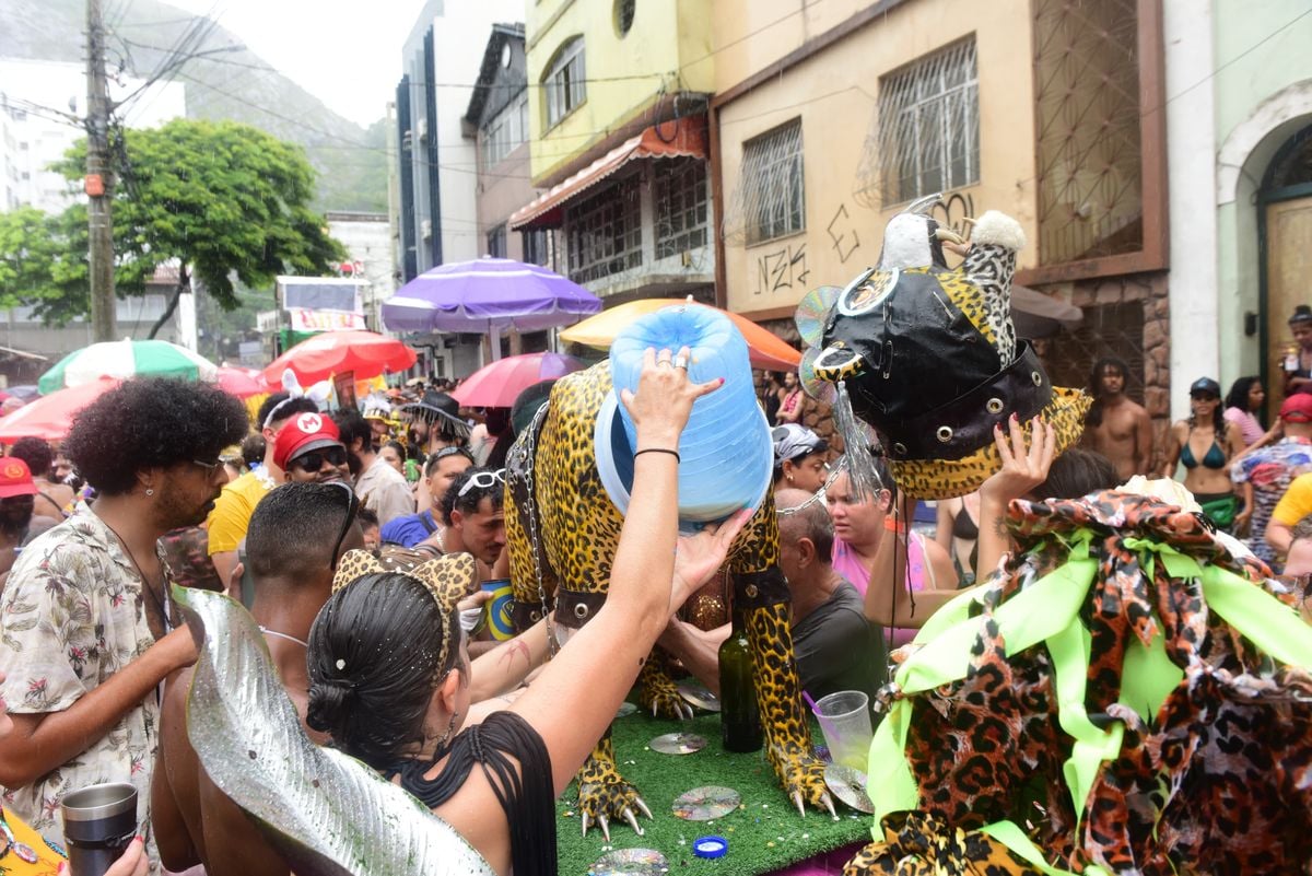 Bloco Amigos da Onça, no Centro de Vitória por Ricardo Medeiros