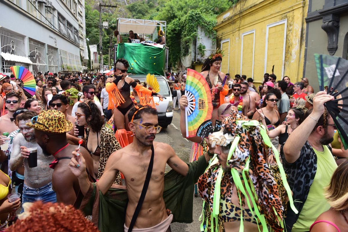 Bloco Amigos da Onça, no Centro de Vitória por Ricardo Medeiros