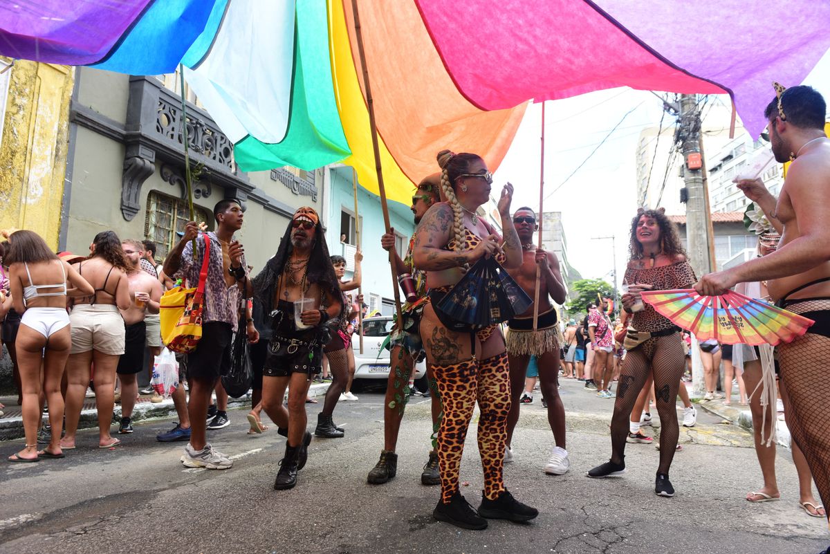 Bloco Amigos da Onça, no Centro de Vitória por Ricardo Medeiros