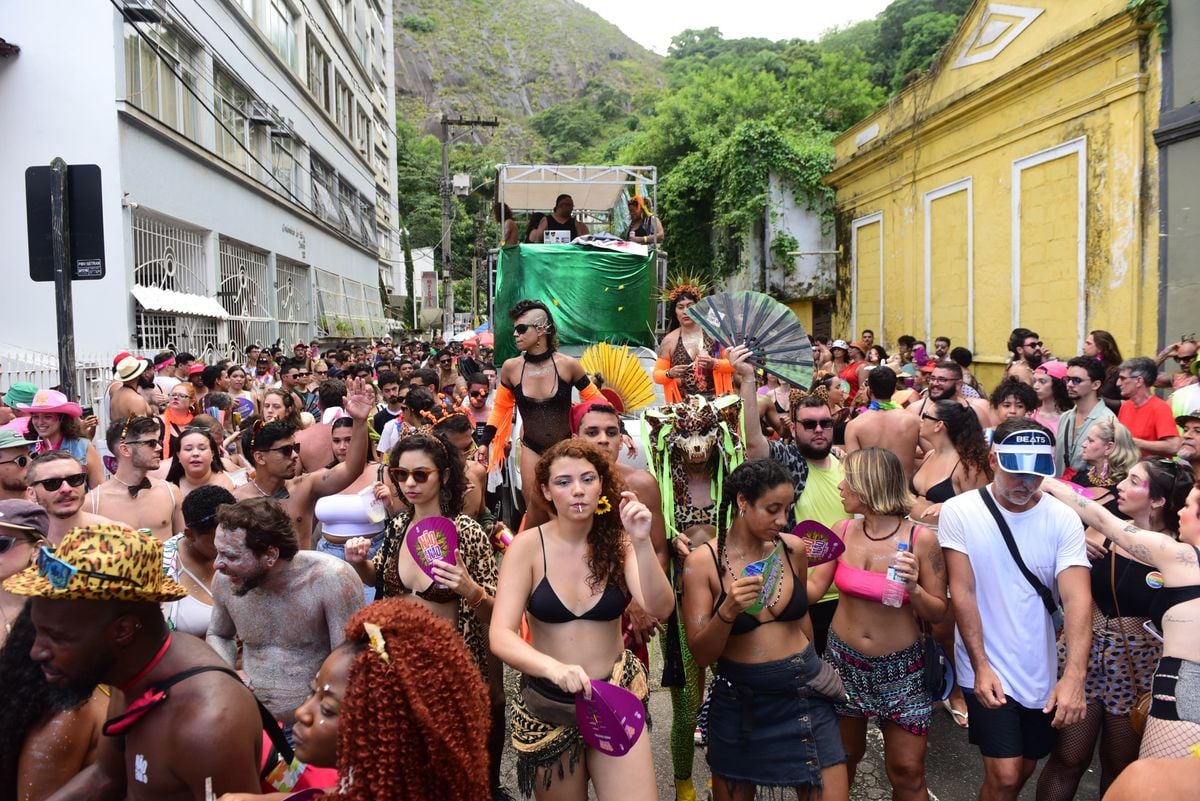 Bloco Amigos da Onça, no Centro de Vitória por Ricardo Medeiros