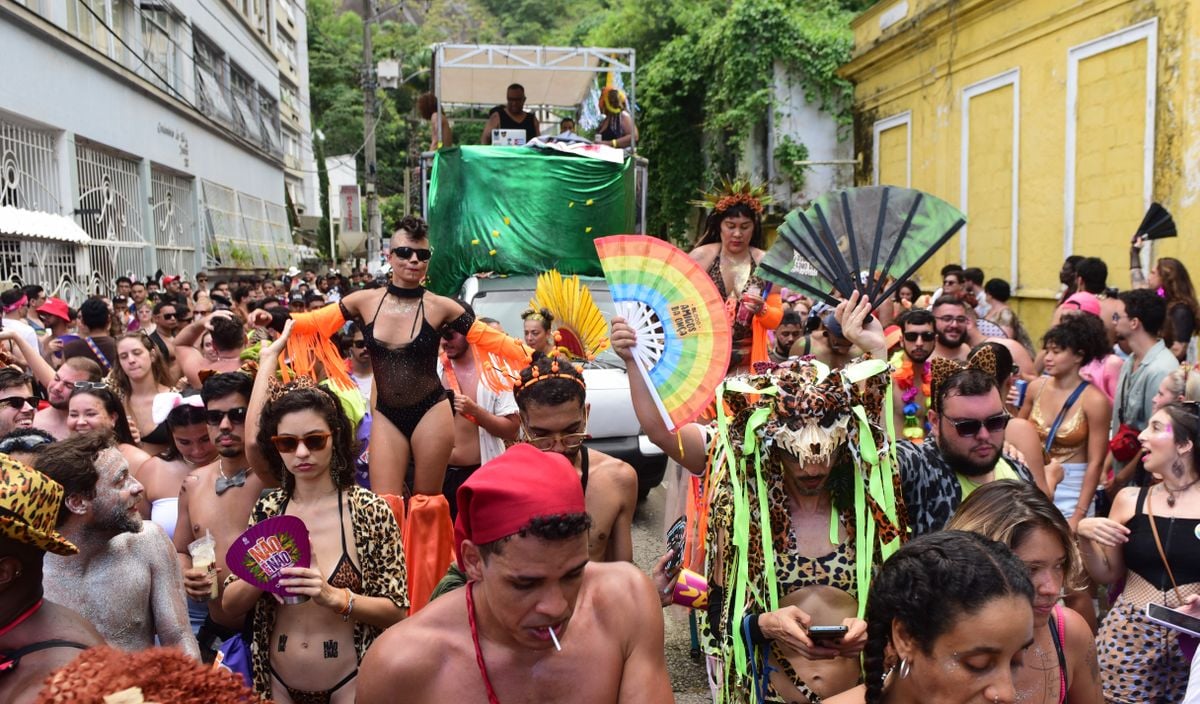 Bloco Amigos da Onça
