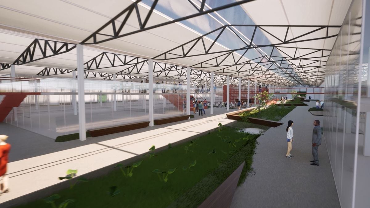 Como galpões do IBC em Jardim da Penha devem ficar por dentro após reforma do Ifes por Reprodução