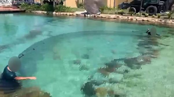 Peixes são retirados de lago no 'resort' de Peixão, em Parada de Lucas, na Zona Norte do Rio