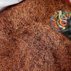 A ação ocorreu nesta quinta-feira (13) em depósitos de reciclagem e ferros-velhos; parte do material apreendido foi retirada da iluminação da Avenida Audifax Barcelos na última terça (11)