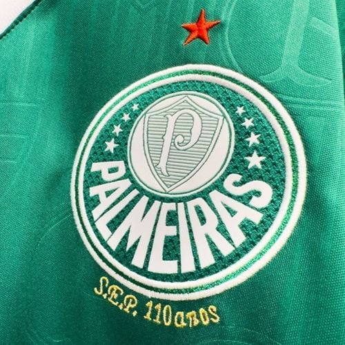 Imagem - Veja a trajetória do Palmeiras no Campeonato Brasileiro