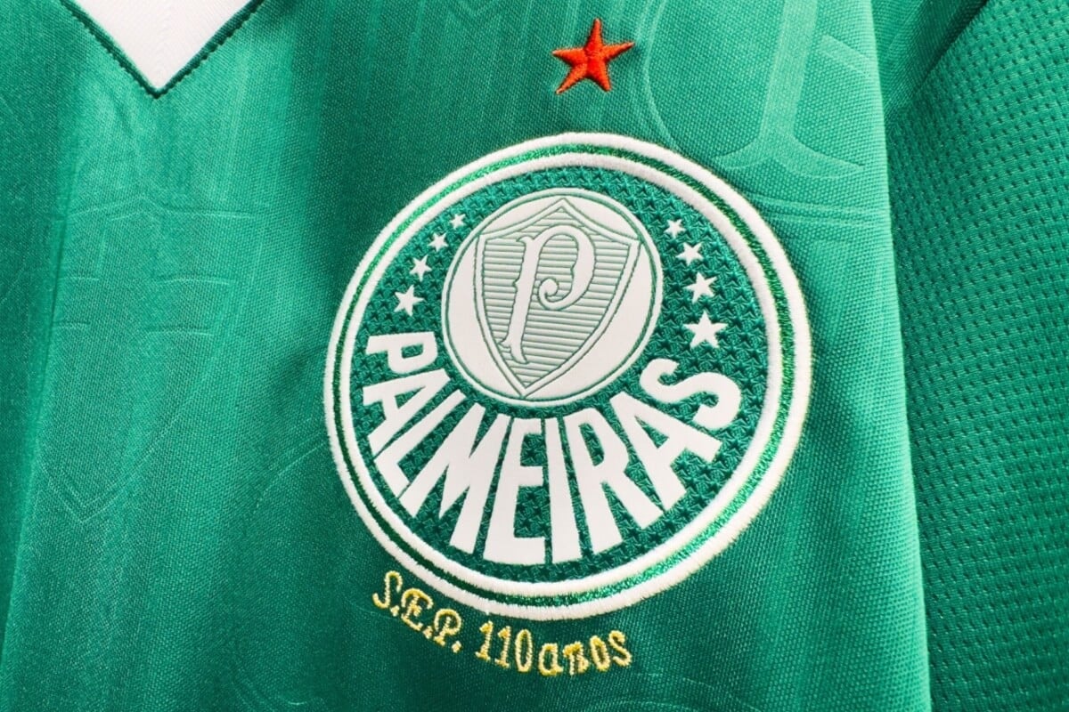 O Palmeiras busca o seu 13º do Campeonato Brasileiro (Imagem: Diego Thomazini | Shutterstock) 