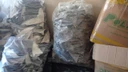 PF apreende mais de uma tonelada de barbatanas de tubarão em Itapemirim (Polícia Federal )