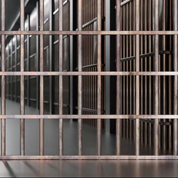 A pesquisa também indicou que 6 a cada 10 afirmam ter entrado para o crime por necessidade financeira enquanto 17% o fizeram em busca de admiração e respeito