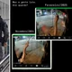 Imagem - Com 11 passagens, homem é preso novamente por furto de fios em Vitória